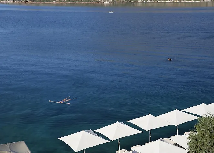 Отель Tymnos 3*